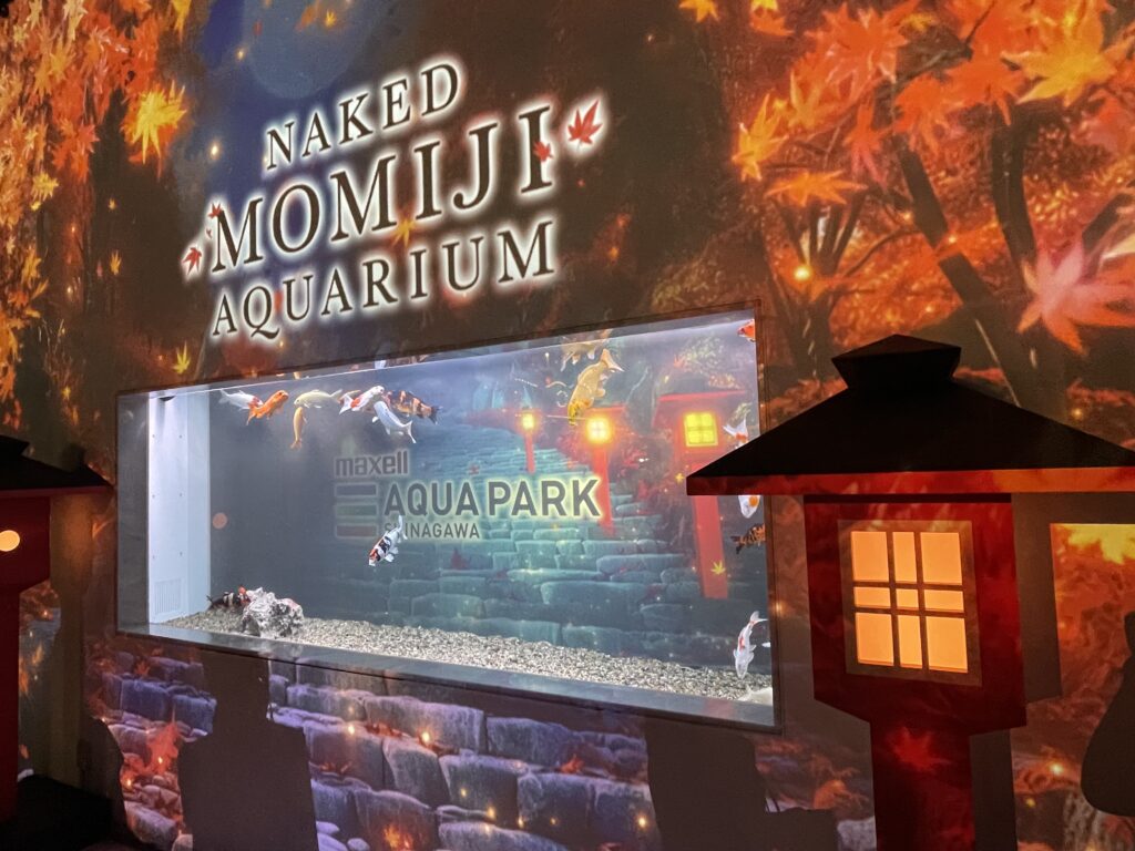 NAKED MOMIJI AQUARIUM