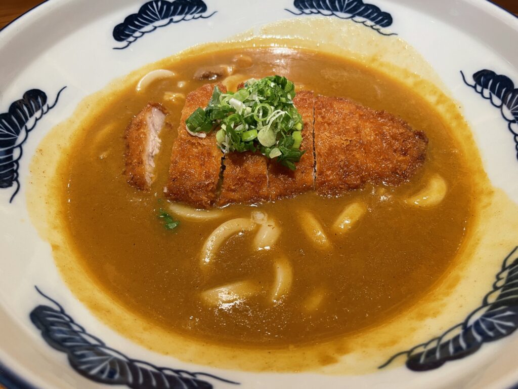 カツカレーうどん近影