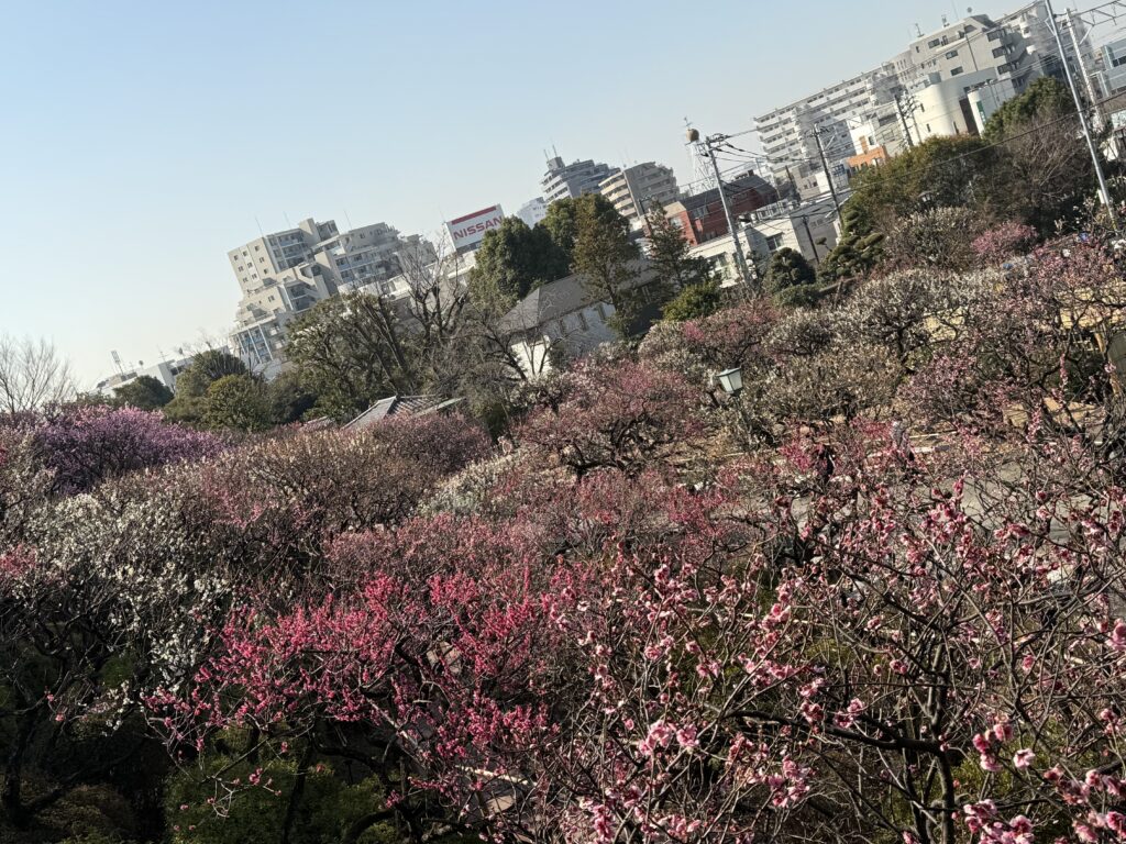 上からの景色