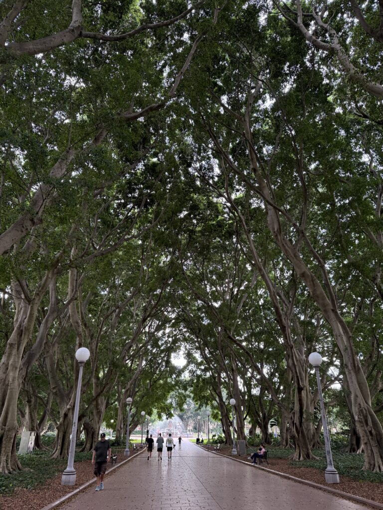 ハイドパークの緑