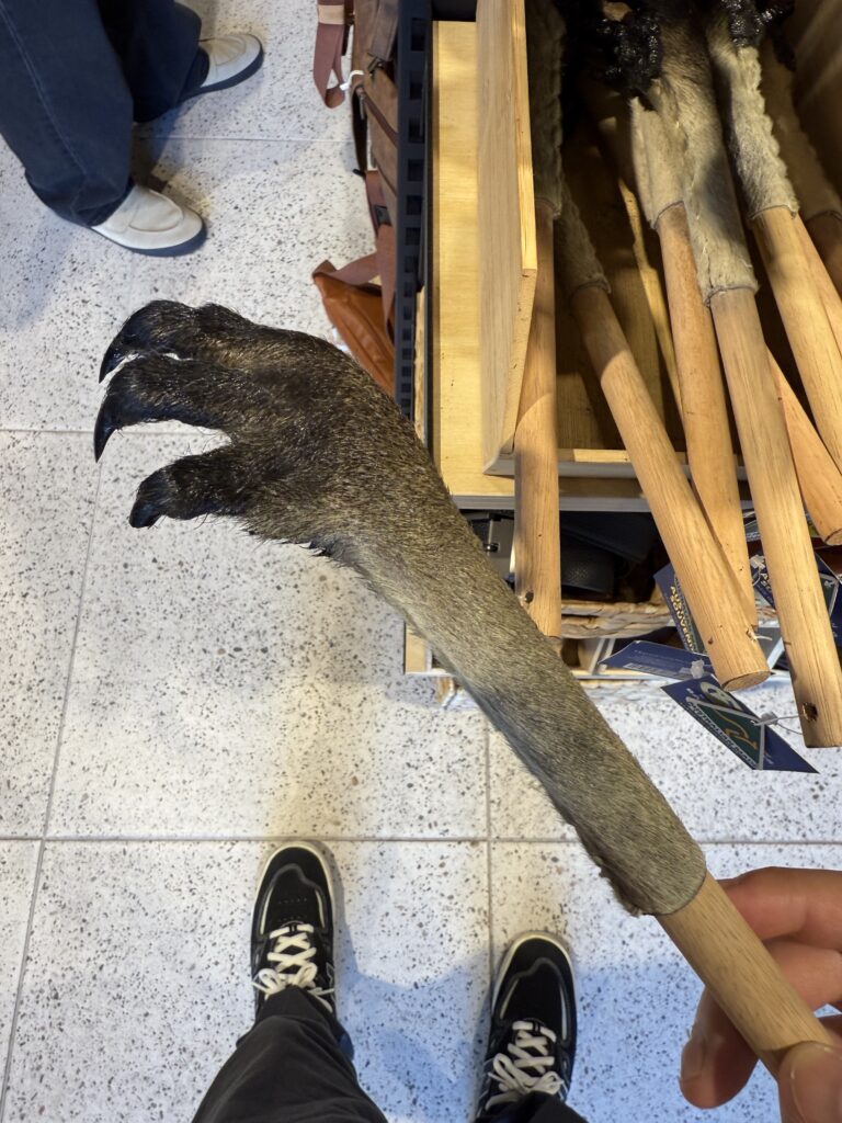 カンガルー孫の手