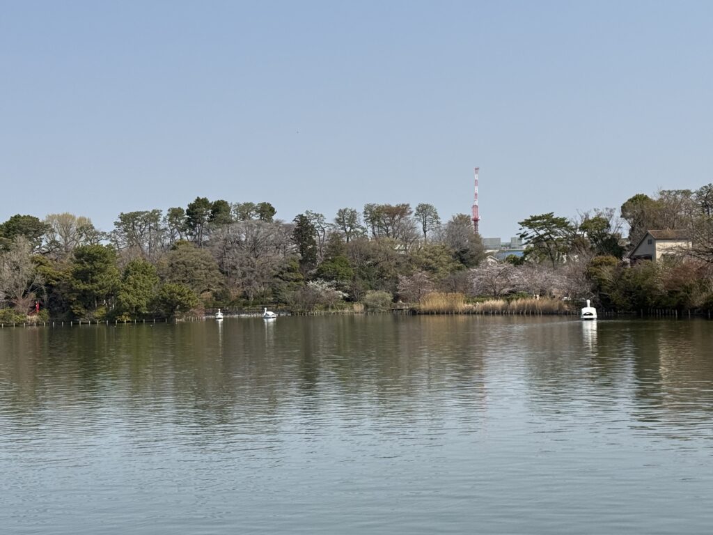 洗足池公園